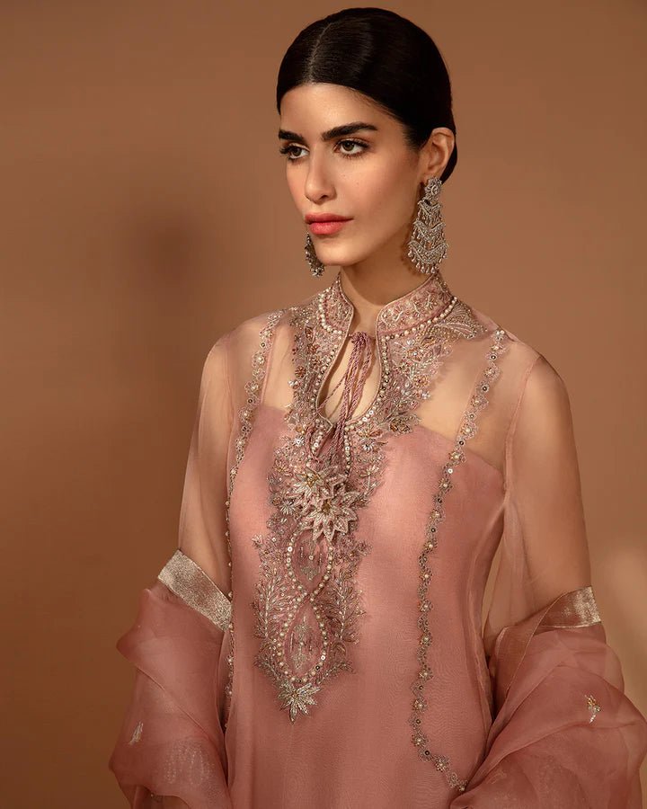Faiza Saqlain UK Auset dress, sheer elegance, Pakistani evening wear UK
