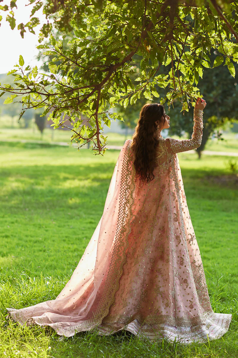Qalamkar | Shadmani Luxury Formals '24 | SH-08 Saira