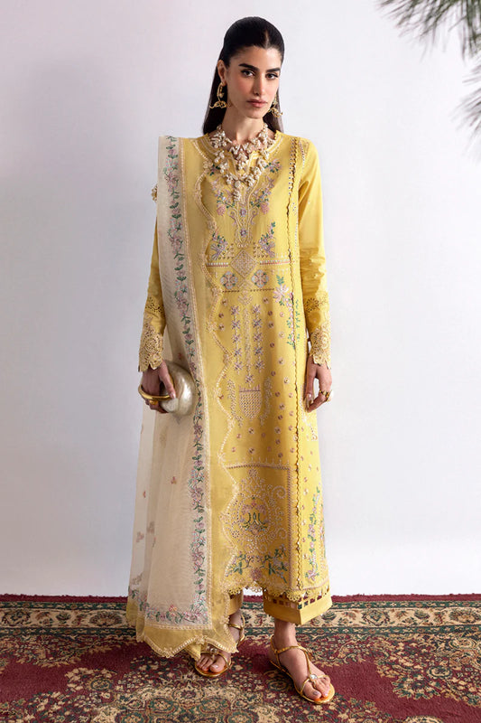 Qalamkar | Qlinekari Lawn '25 | DC-09 Enya