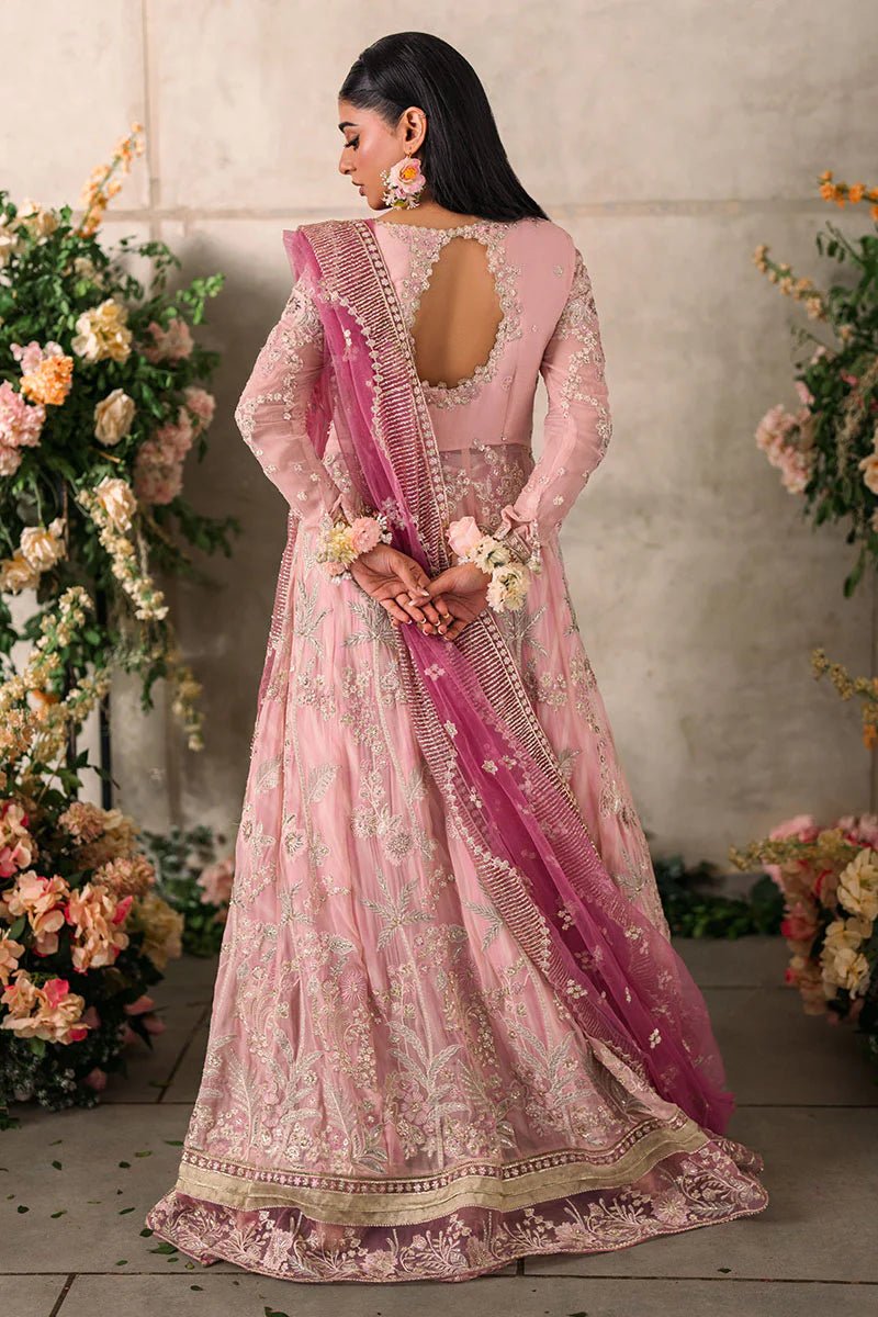 Model wearing Mushq Mastani Evening Luxury Chiffon Maisha dress in soft pink, perfect for Pakistani wedding clothes online in the UK.