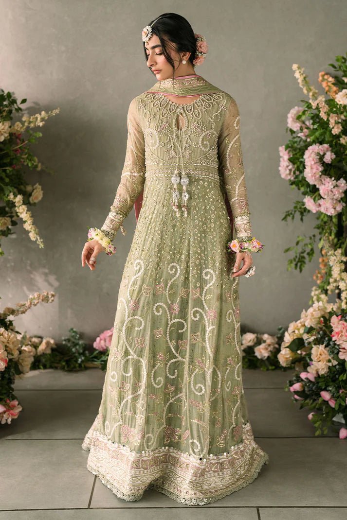 Model wearing Mushq Mastani Evening Luxury Chiffon Namar dress in a soft green shade, perfect for Pakistani wedding clothes online in the UK.