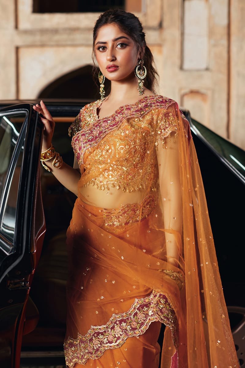 Model wearing Qalamkaar Shadmani Luxury Formals '24 Raniya SH - 02 dress in burnt orange with intricate gold embroidery. Shop Pakistani bridal dresses online in the UK now.